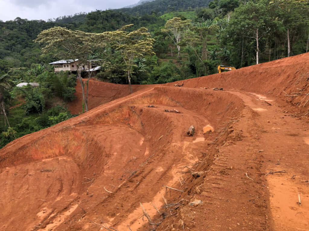 2 Year Transformation With Bamboo ThinkBamboo