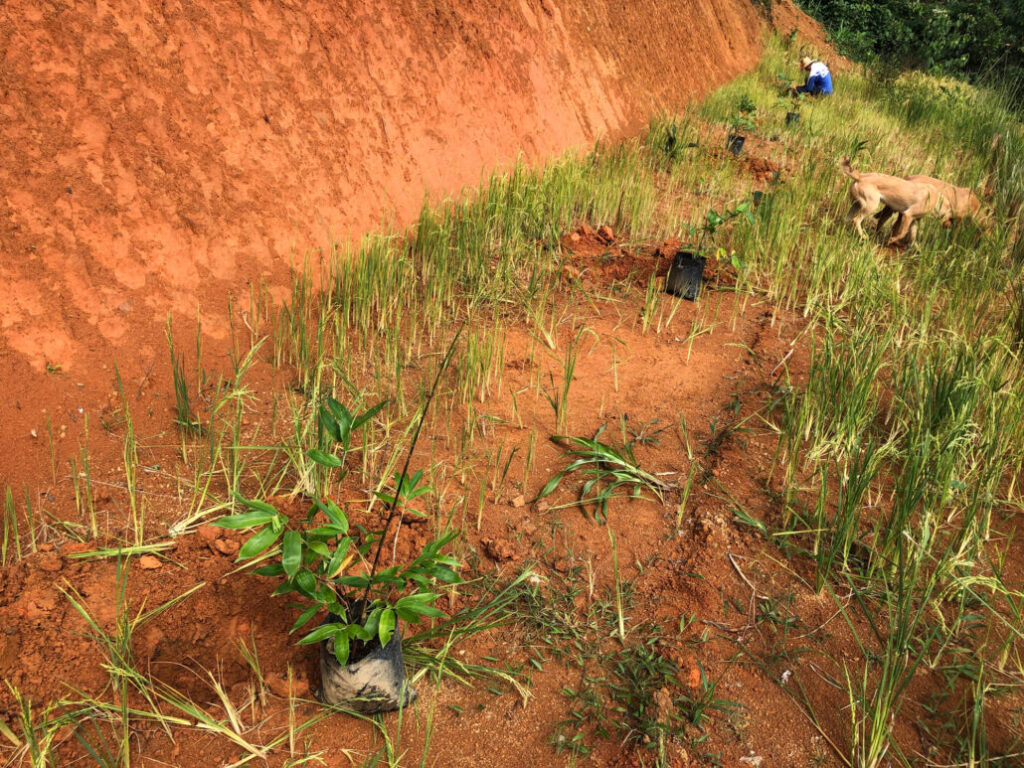 2 Year Transformation With Bamboo ThinkBamboo