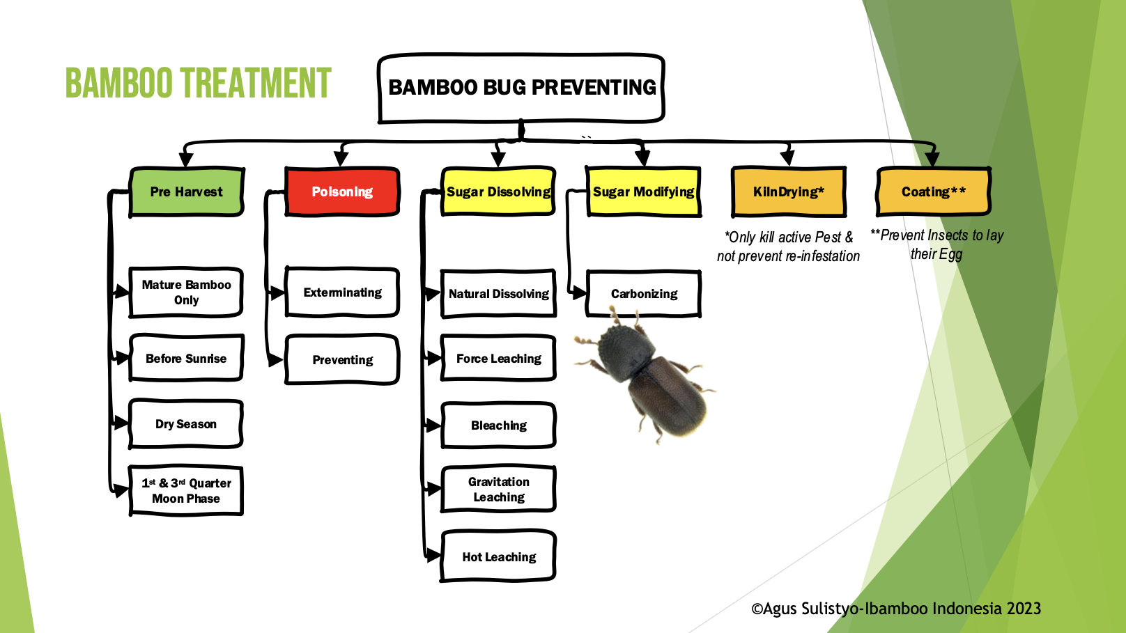 Bamboo Preservation Methods ThinkBamboo